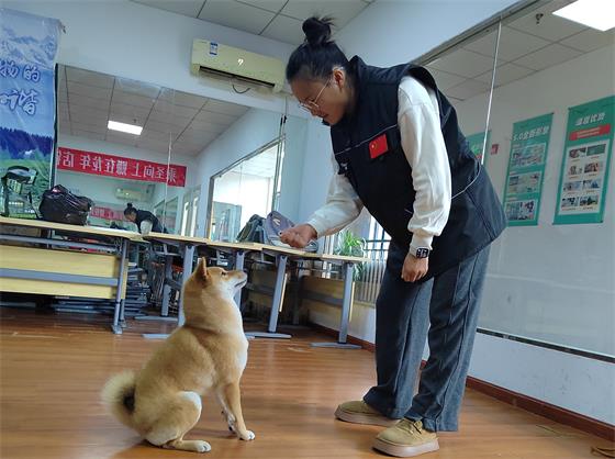 995c6035ff17a16b54bd0f68cb072491_origin(1)_看图王.jpg