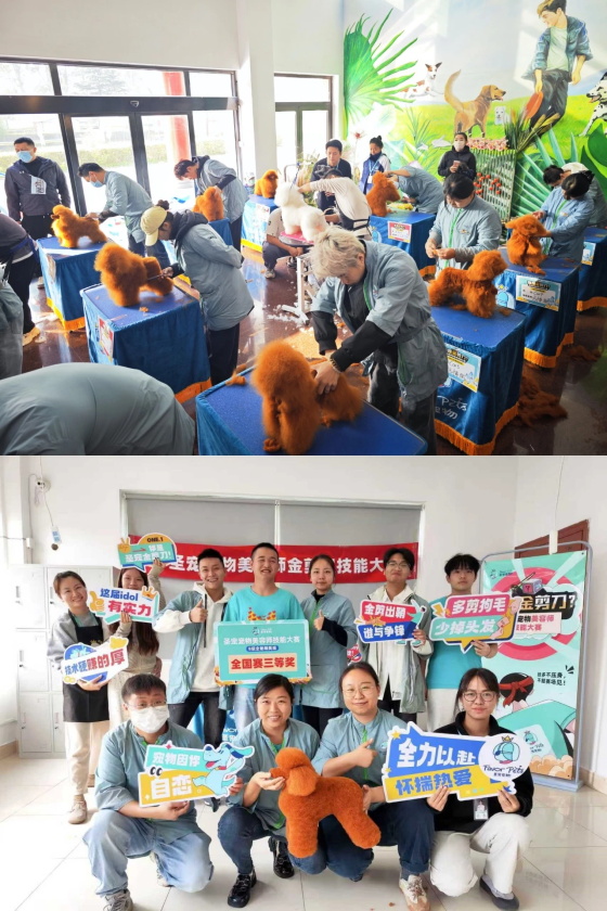 1761896551975624.jpg 0 (1).jpg