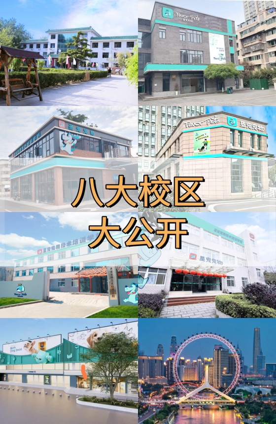 1763024362955906.jpg 0.jpg