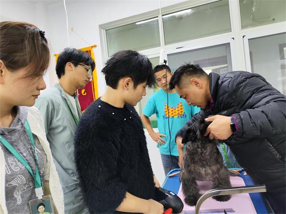 1764663809511386.jpg 93e67c59373fd11556ee0e8519c577a5.jpg